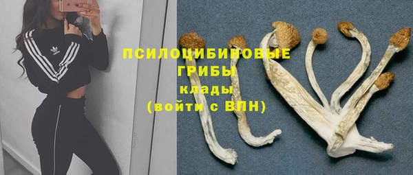 таблы Алексеевка