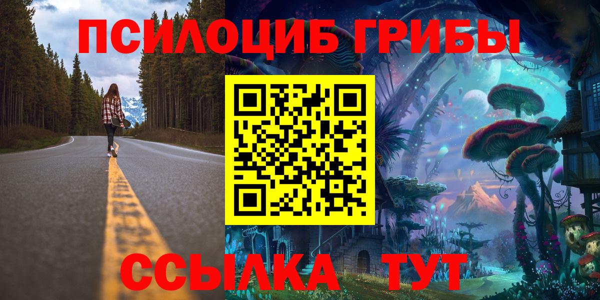 Псилоцибиновые грибы Psilocybe Нижний Тагил