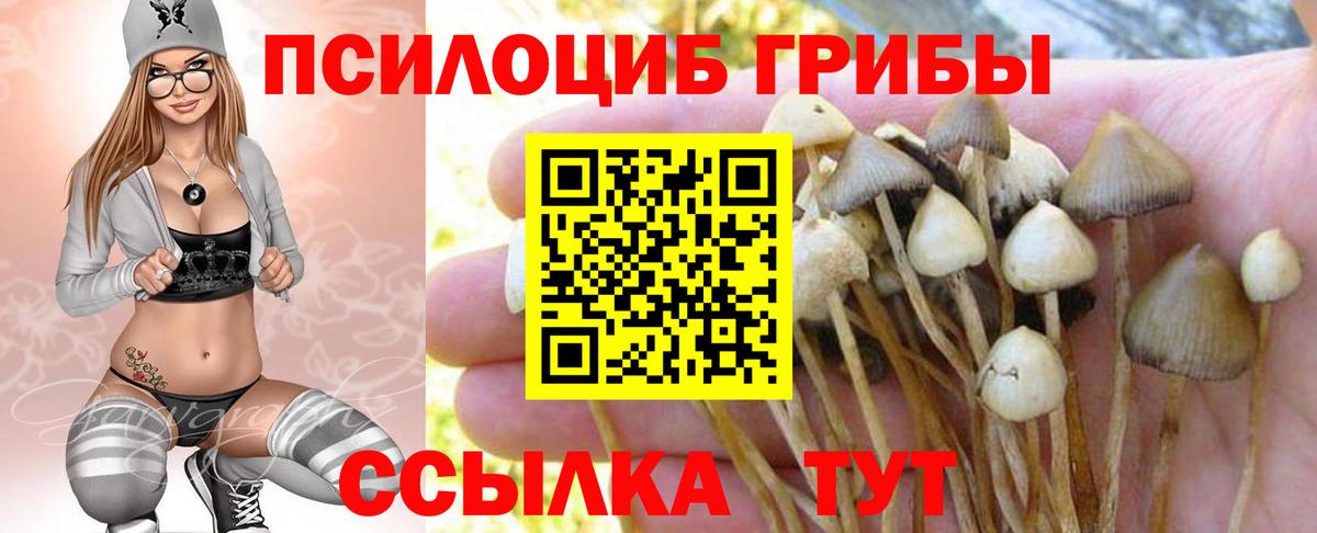Псилоцибиновые грибы MAGIC MUSHROOMS  Псилоцибиновые грибы ЛСД  Нижний Тагил  Вход с VPN 